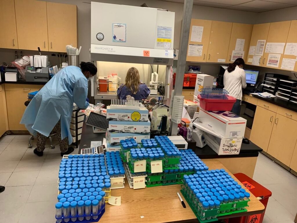 Scientist examining laboratory samples during peptide research